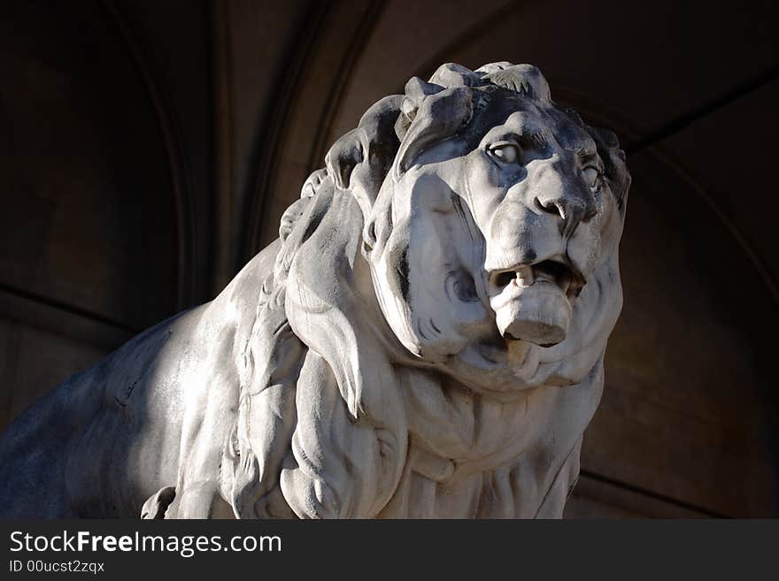 Stone Lion