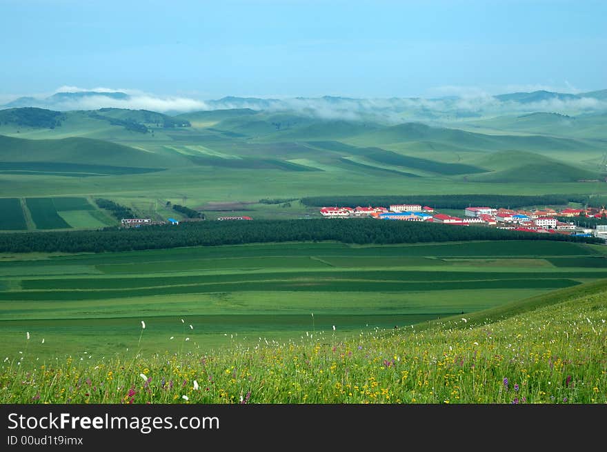 Green spring field with a morning fog. Green spring field with a morning fog