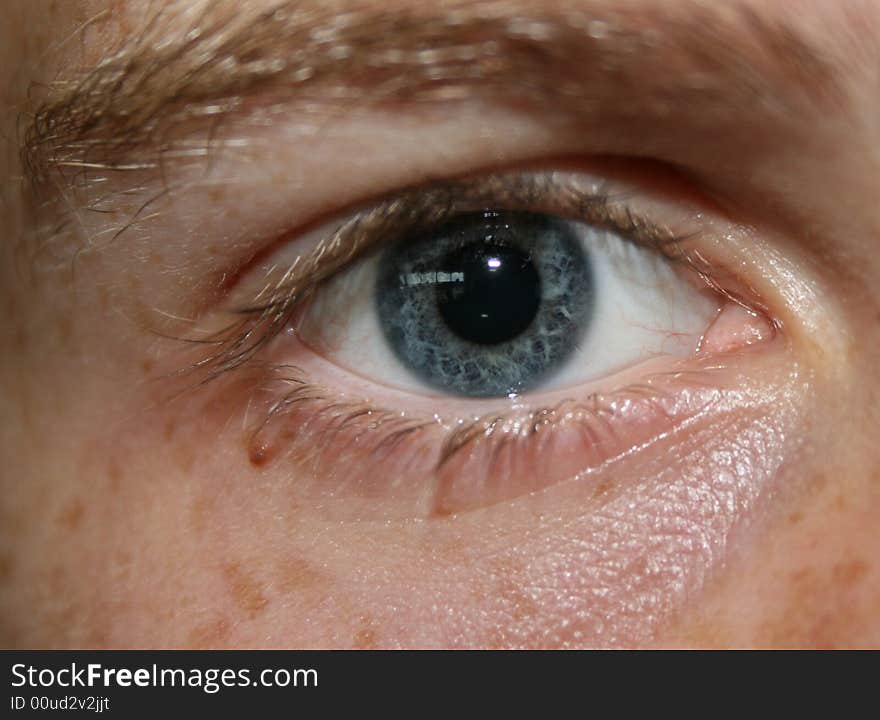 Close up on a male human eye. Close up on a male human eye.