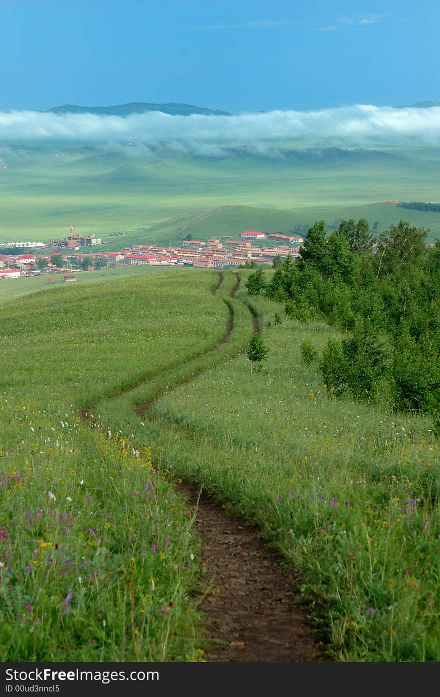 Road Of Grassland