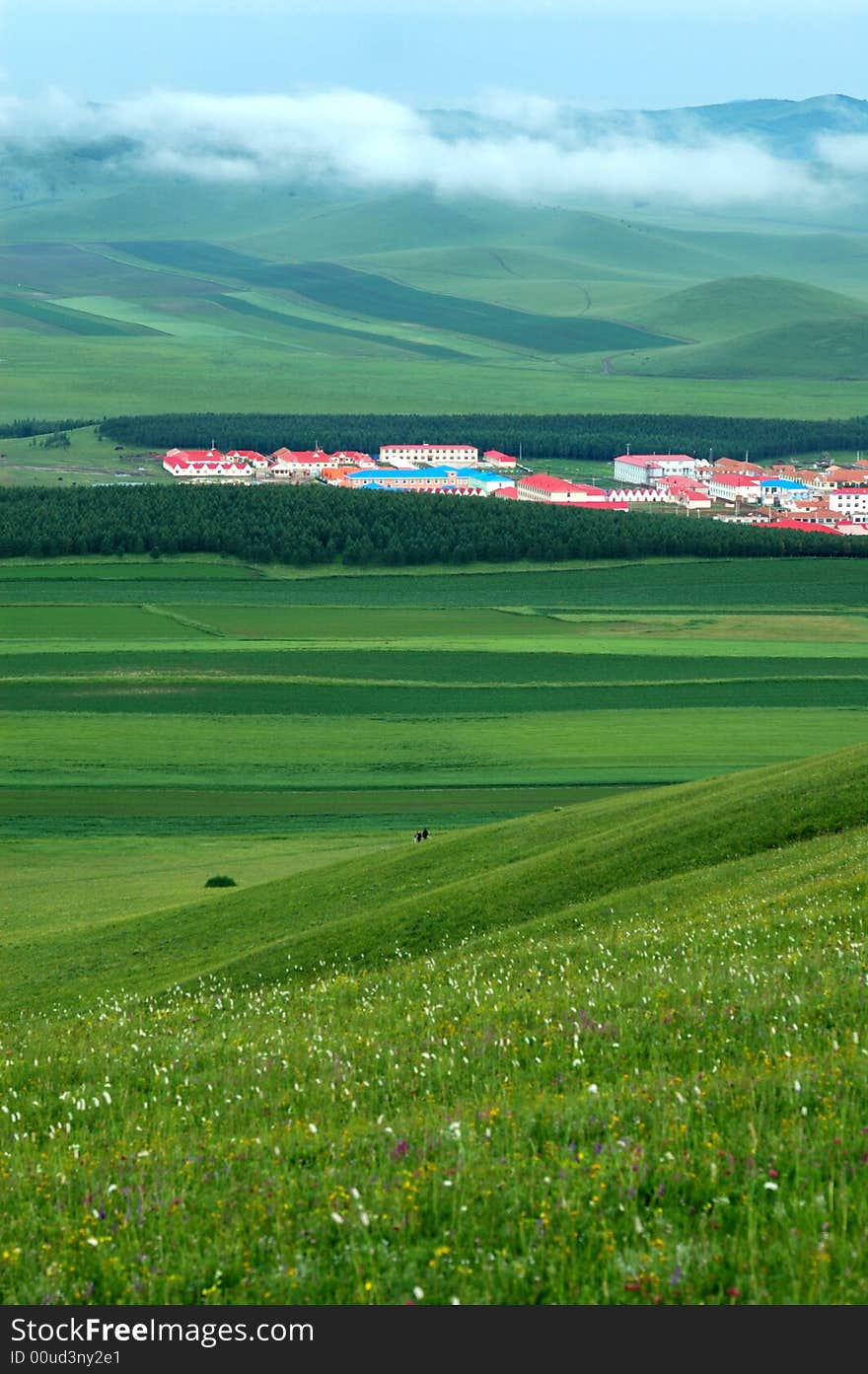 Village & grassland