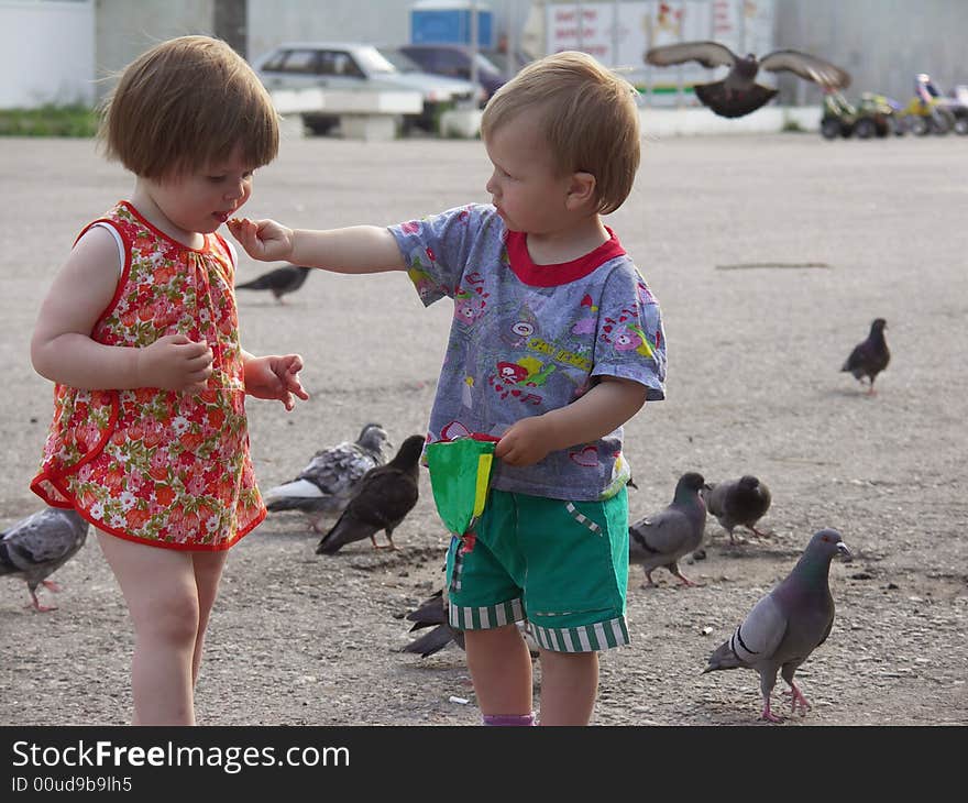 Small boy and the girl feed pigeons. Small boy and the girl feed pigeons.