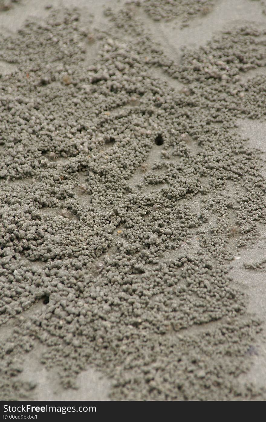 Close up of art work of sand made by little crabs. Close up of art work of sand made by little crabs