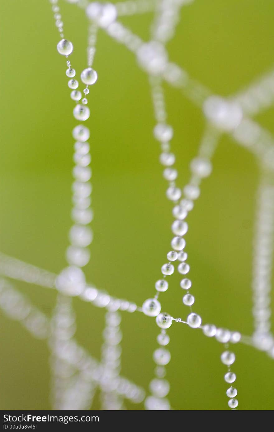 Dewdrop