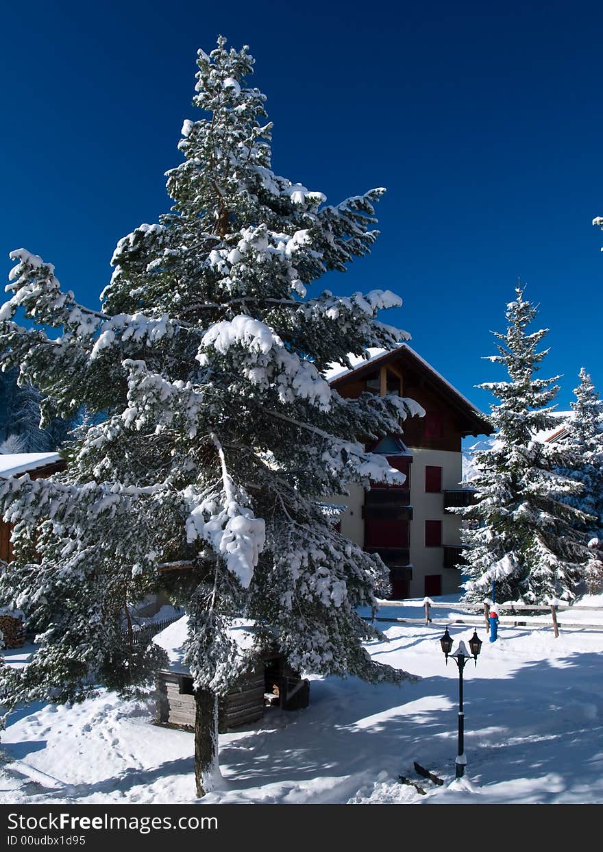 Garden and chalet after heavy snow