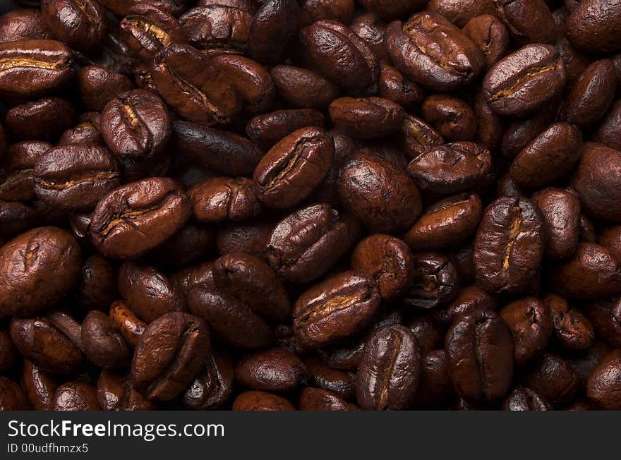 Fresh shiny coffee beans close up. Fresh shiny coffee beans close up