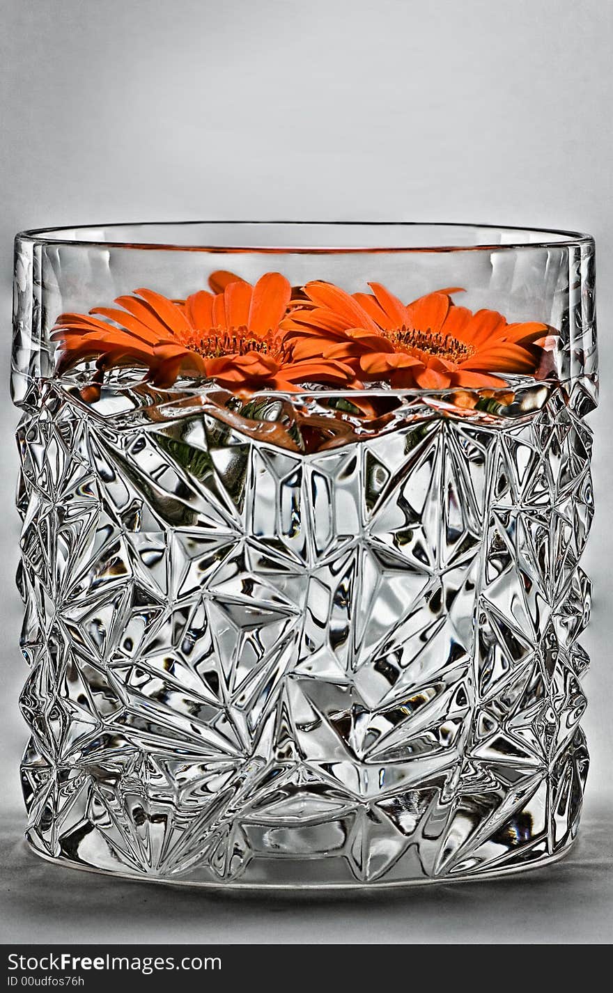 Orange Gerber Daisies floating in glass. Orange Gerber Daisies floating in glass.