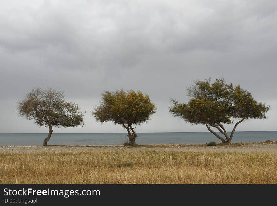 A wild seascape before a storm comes. A wild seascape before a storm comes