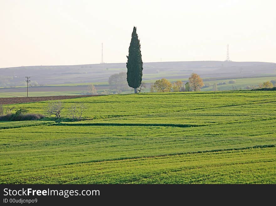 Green field with trees and antennas far away. Green field with trees and antennas far away