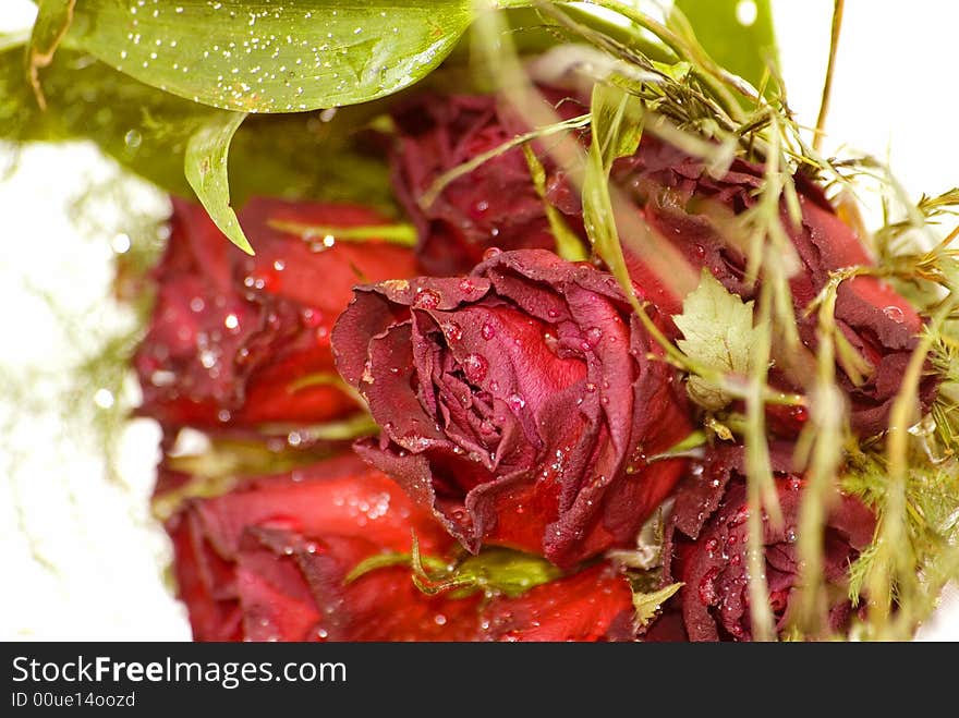 Closeup of beauty bouquet. Red roses with water drops like diamonds. Closeup of beauty bouquet. Red roses with water drops like diamonds.