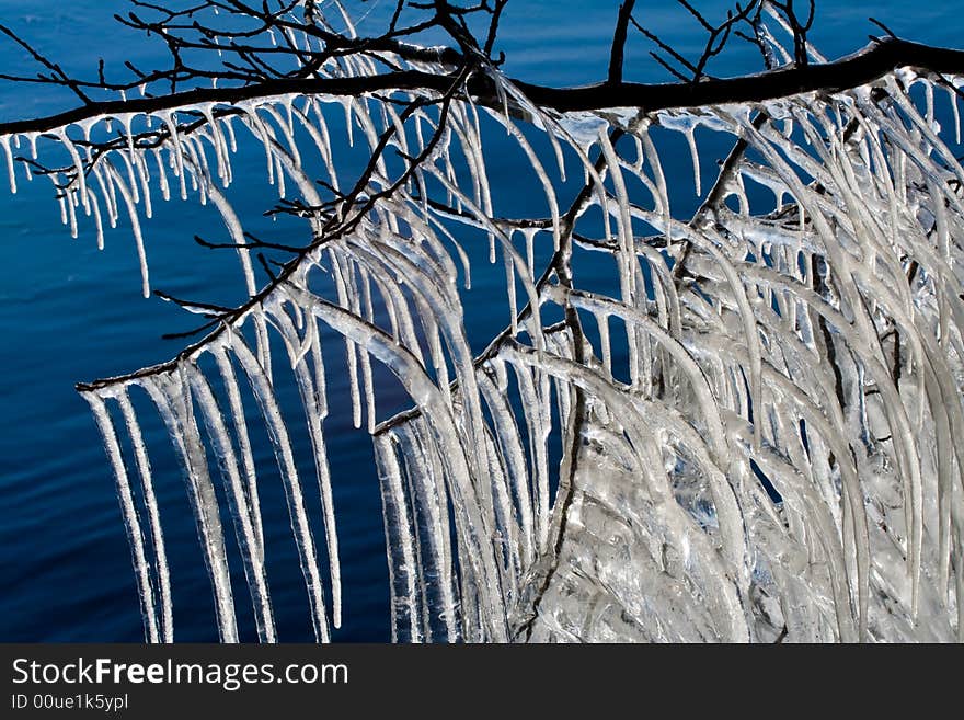 Icicles On A Lake