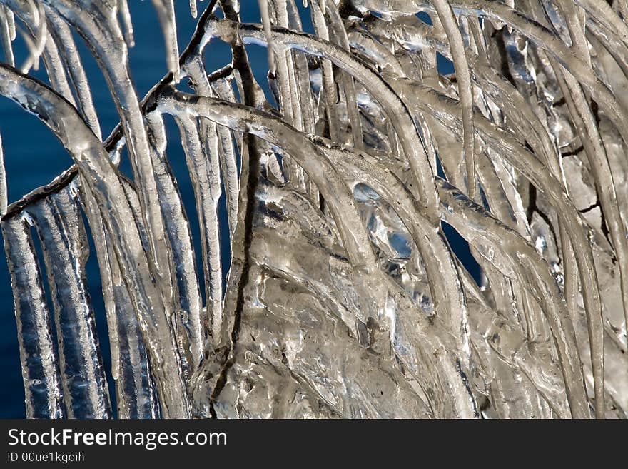 Icicles On A Lake