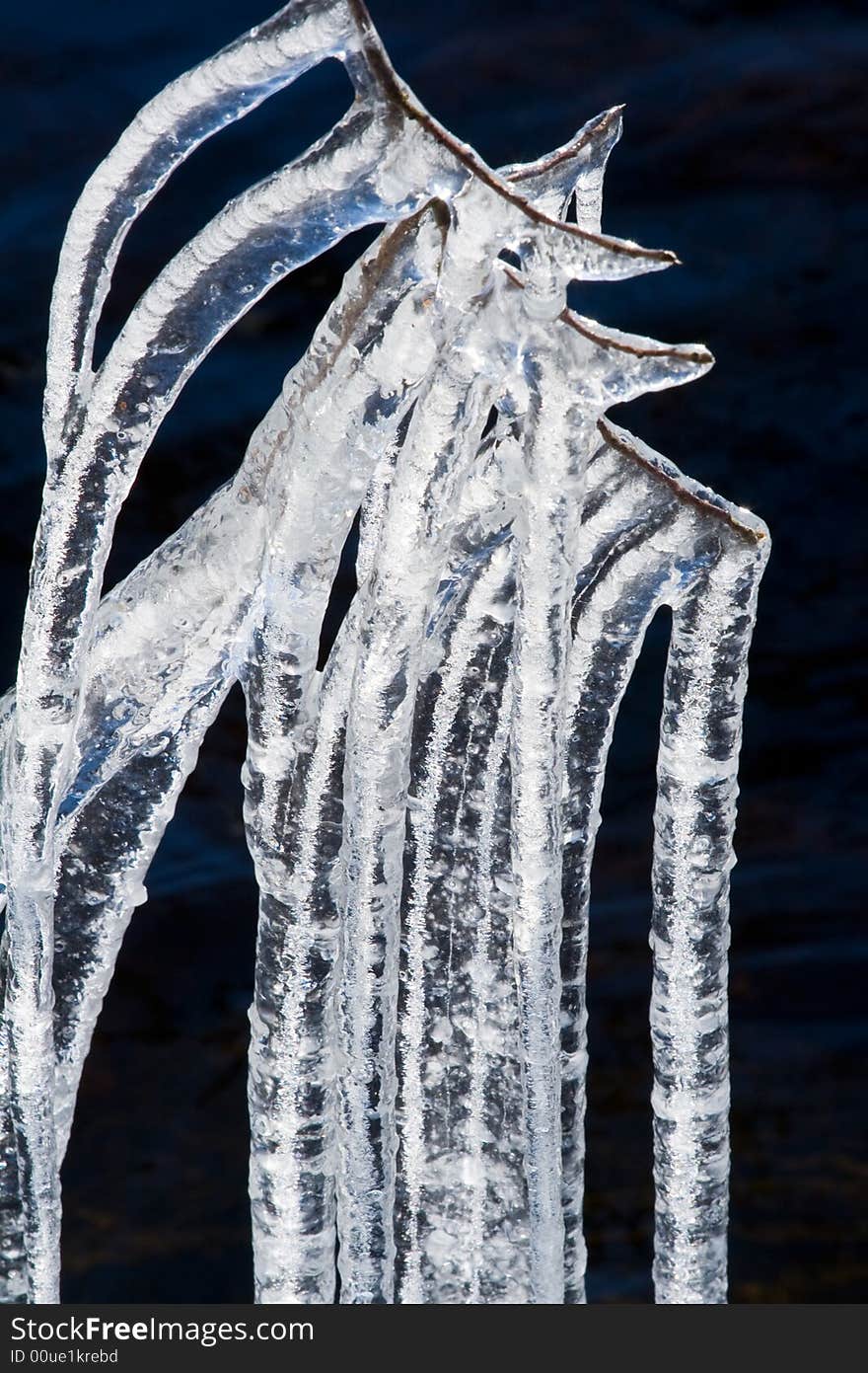 Icicles on a lake