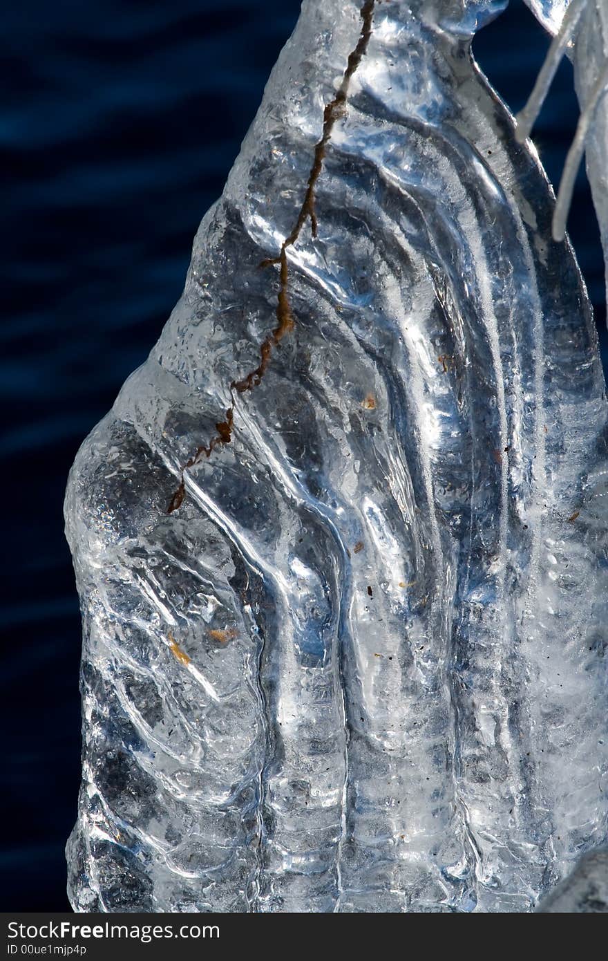 Icicles On A Lake