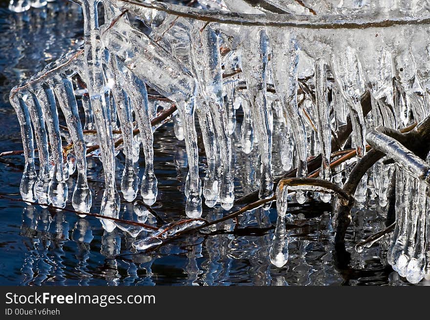 Very special icicles were built on Helga lake in Sweden in March 2008 when a stormy wind was accompanied by a very cold weather. Every straw and twig along the shore were covered with utterly weird formations of ice. Very special icicles were built on Helga lake in Sweden in March 2008 when a stormy wind was accompanied by a very cold weather. Every straw and twig along the shore were covered with utterly weird formations of ice.