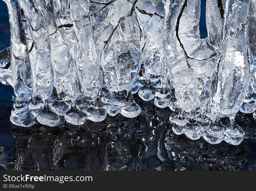 Very special icicles were built on Helga lake in Sweden in March 2008 when a stormy wind was accompanied by a very cold weather. Every straw and twig along the shore were covered with utterly weird formations of ice. Very special icicles were built on Helga lake in Sweden in March 2008 when a stormy wind was accompanied by a very cold weather. Every straw and twig along the shore were covered with utterly weird formations of ice.