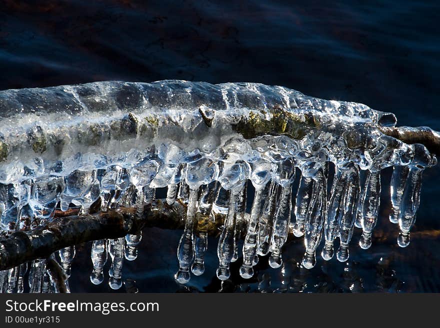 Very special icicles were built on Helga lake in Sweden in March 2008 when a stormy wind was accompanied by a very cold weather. Every straw and twig along the shore were covered with utterly weird formations of ice. Very special icicles were built on Helga lake in Sweden in March 2008 when a stormy wind was accompanied by a very cold weather. Every straw and twig along the shore were covered with utterly weird formations of ice.