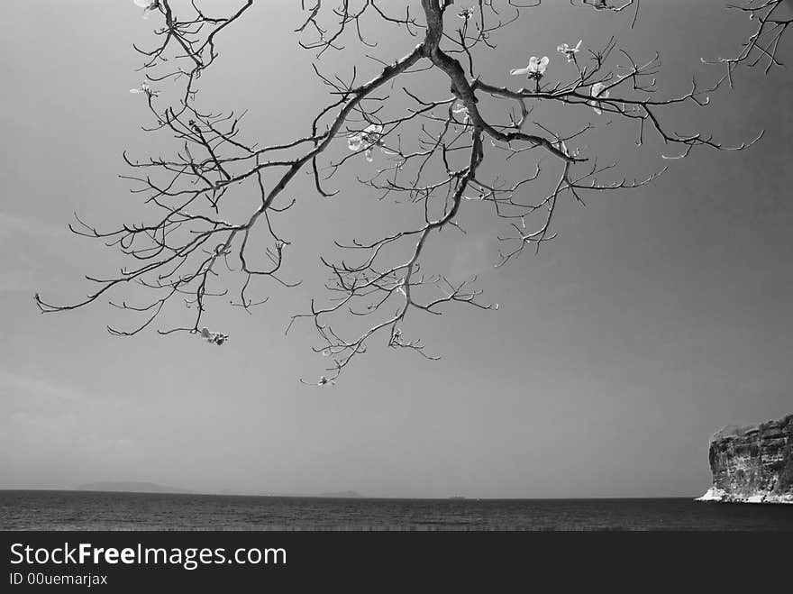 Digital infrared photo of beach in Cavite, Philippines