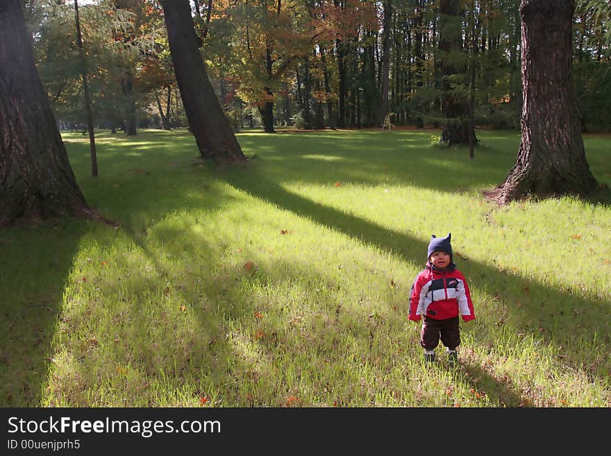 Little Boy In The Forest