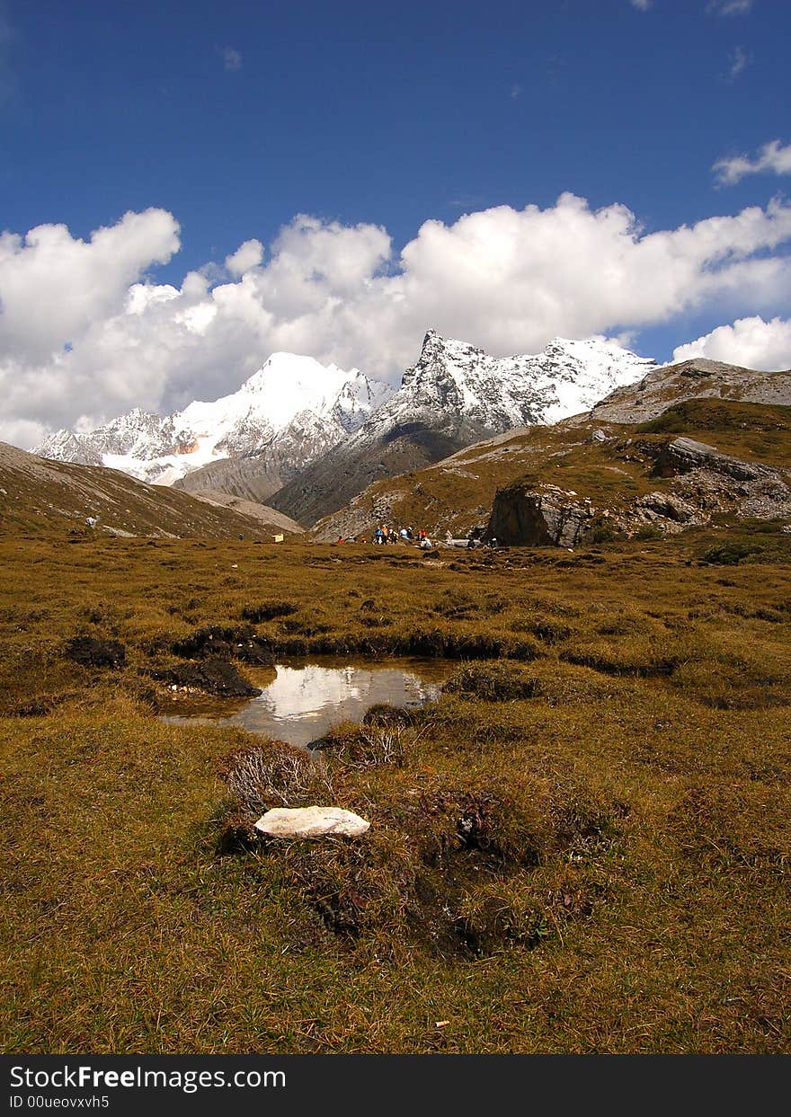 Altiplano Pool