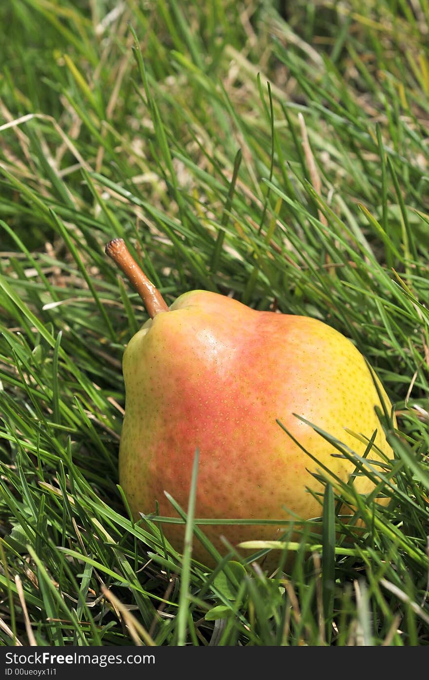 Fresh pear on green grass background