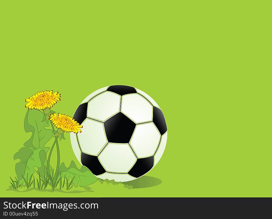 Football in dandelions