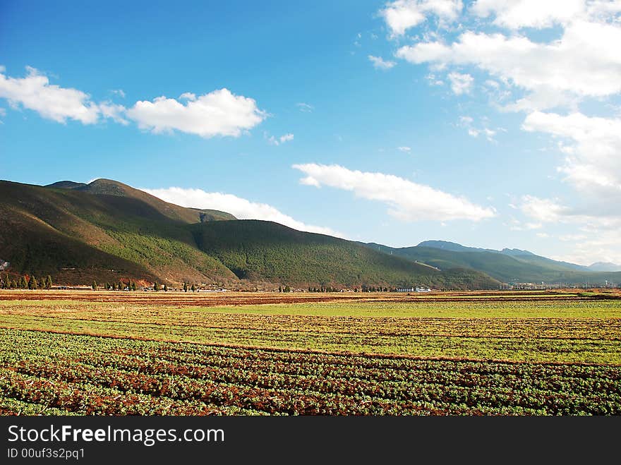 Mountain And Fields