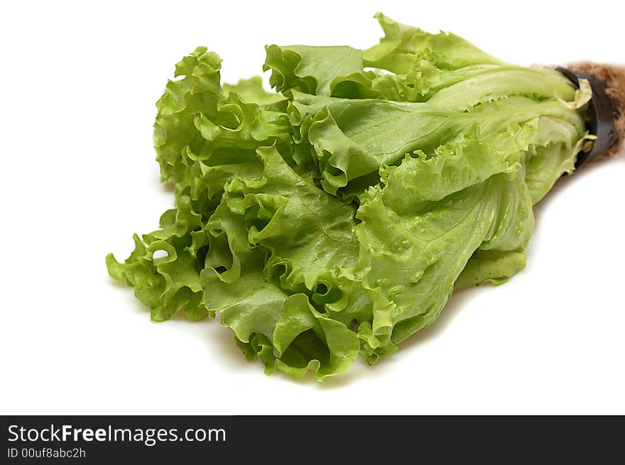 Fresh lettuce