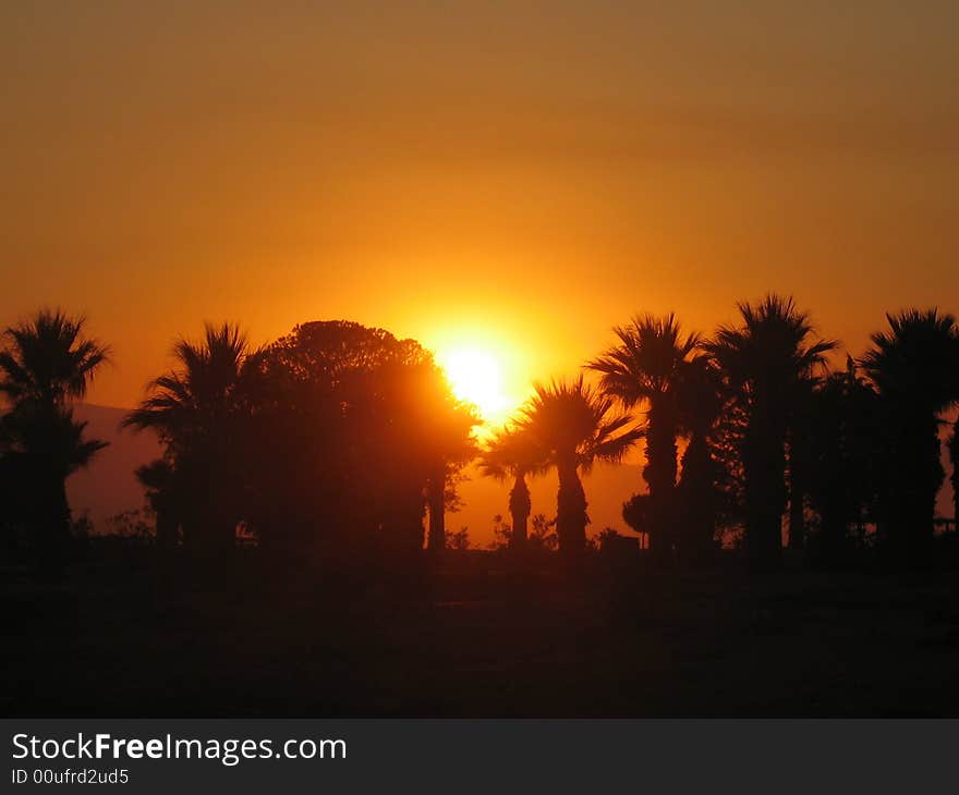 Tropical landscape with palms and sunset. Recorded in Turkey. Tropical landscape with palms and sunset. Recorded in Turkey.