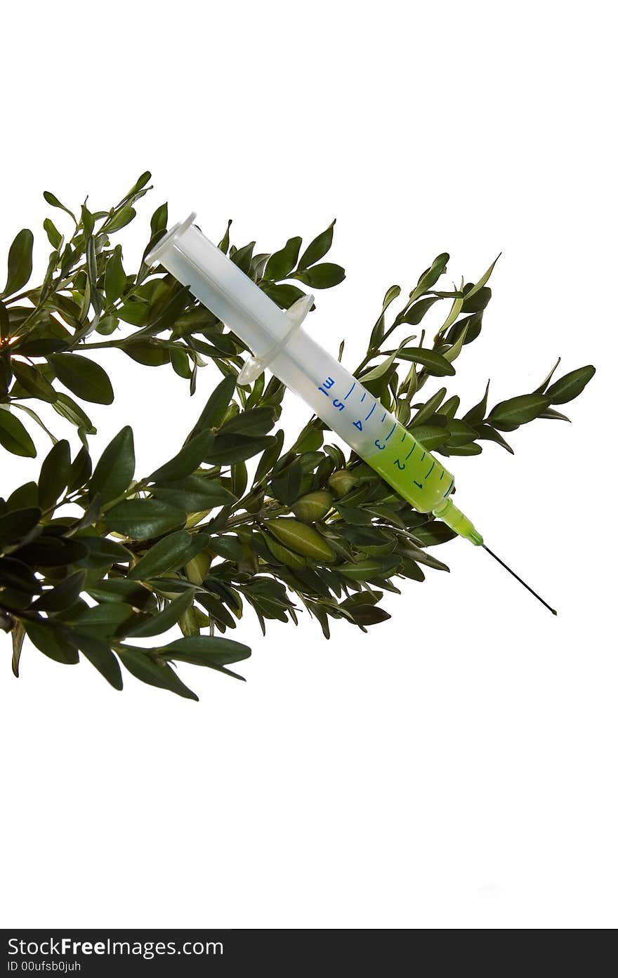 Syringe and green sprig isolated over white background. Syringe and green sprig isolated over white background