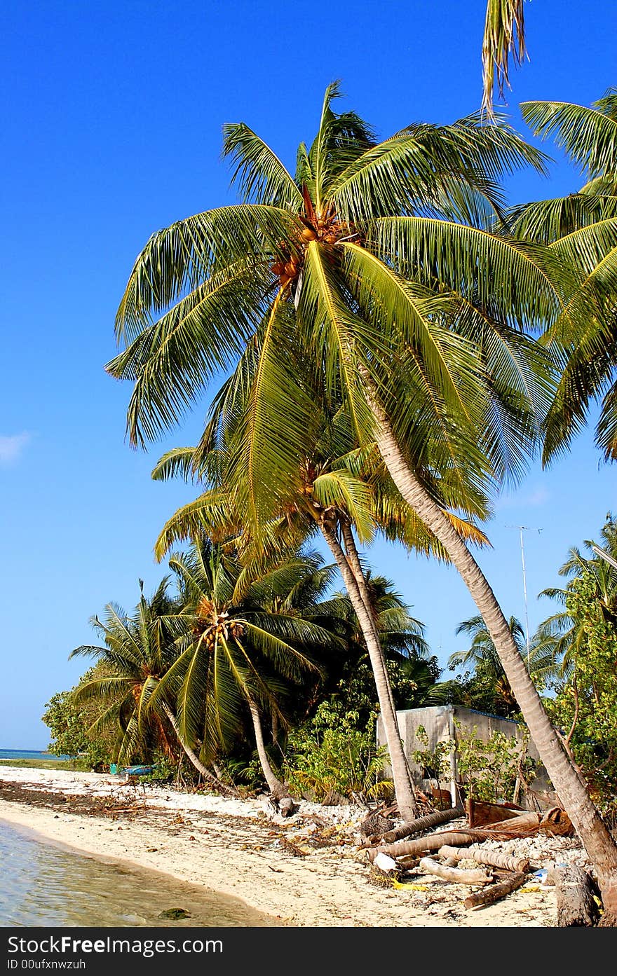 Beautiful Tropical beach in Maldives