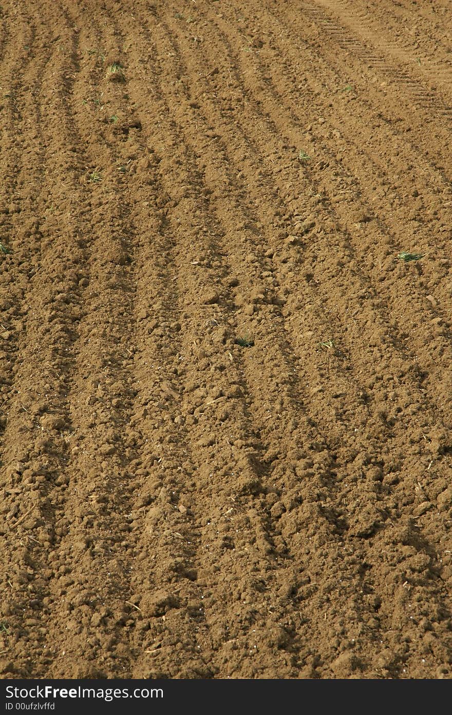 Germany in springtime green and brown. Germany in springtime green and brown