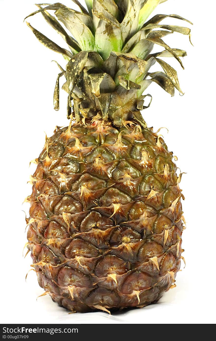 Pineapple