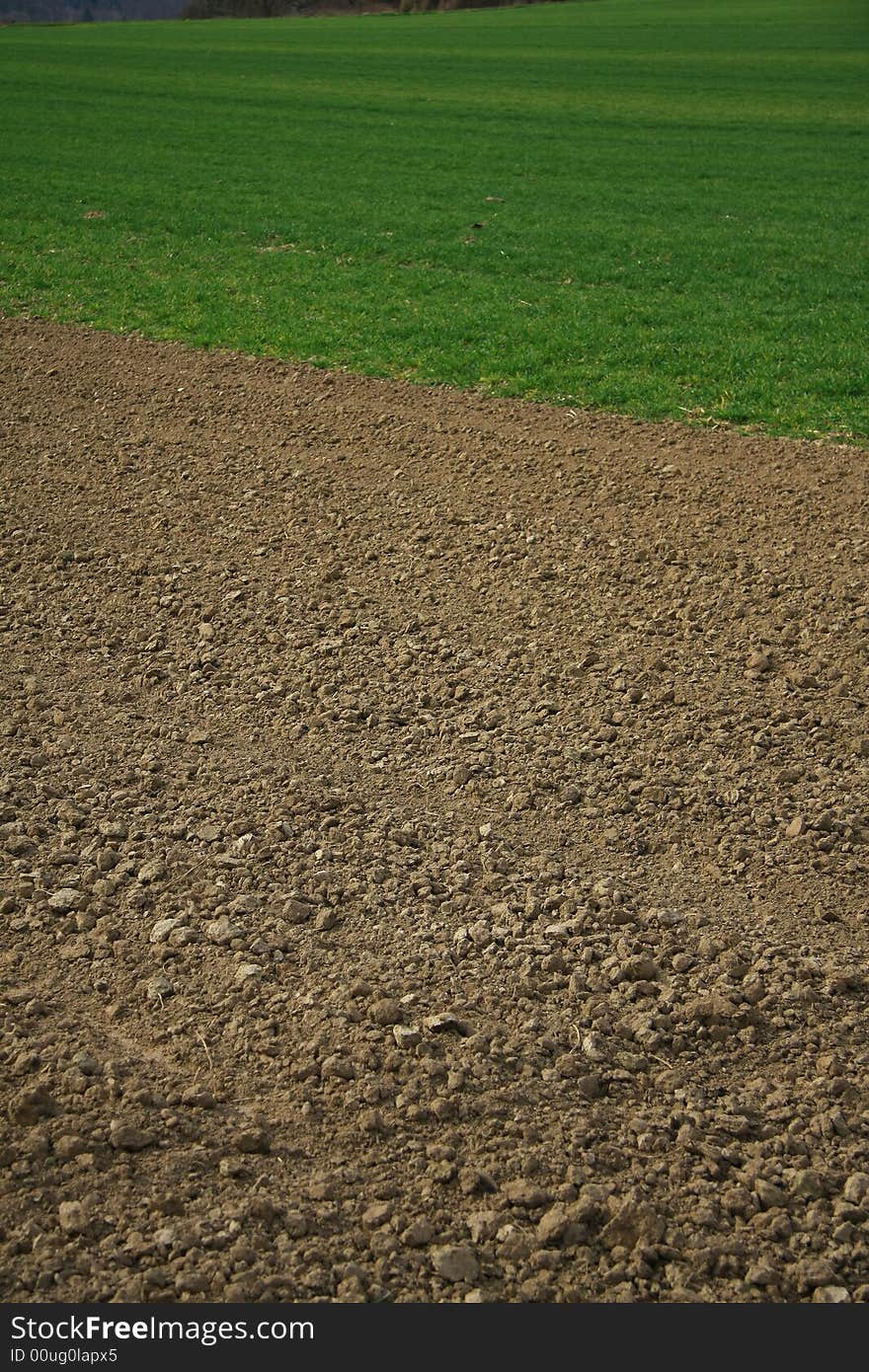 Germany in springtime green and brown. Germany in springtime green and brown