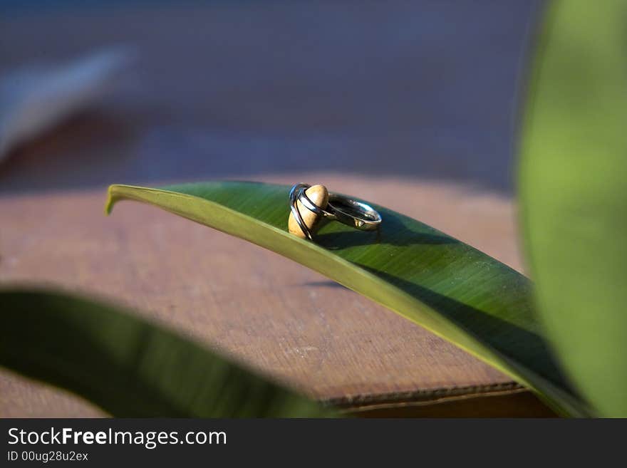 Organic Ring