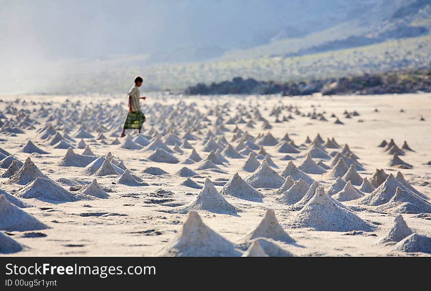 Crab homes on the beach