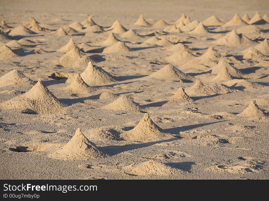 Crab homes on the beach