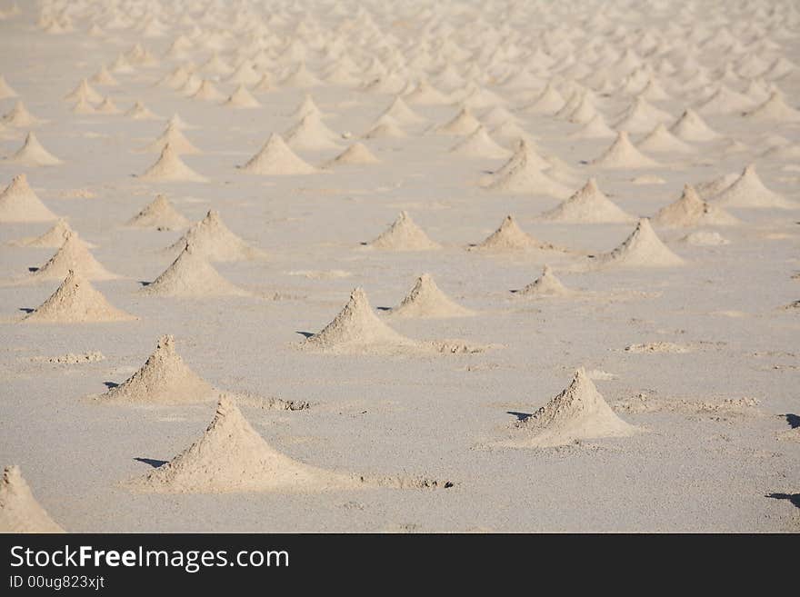 Crab homes on the beach