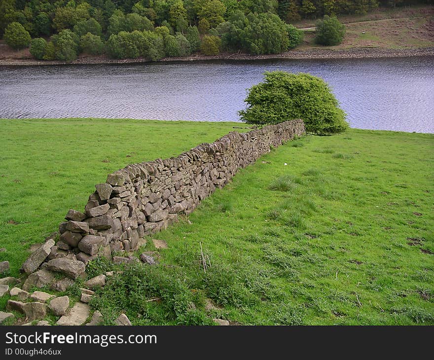 Field and lake