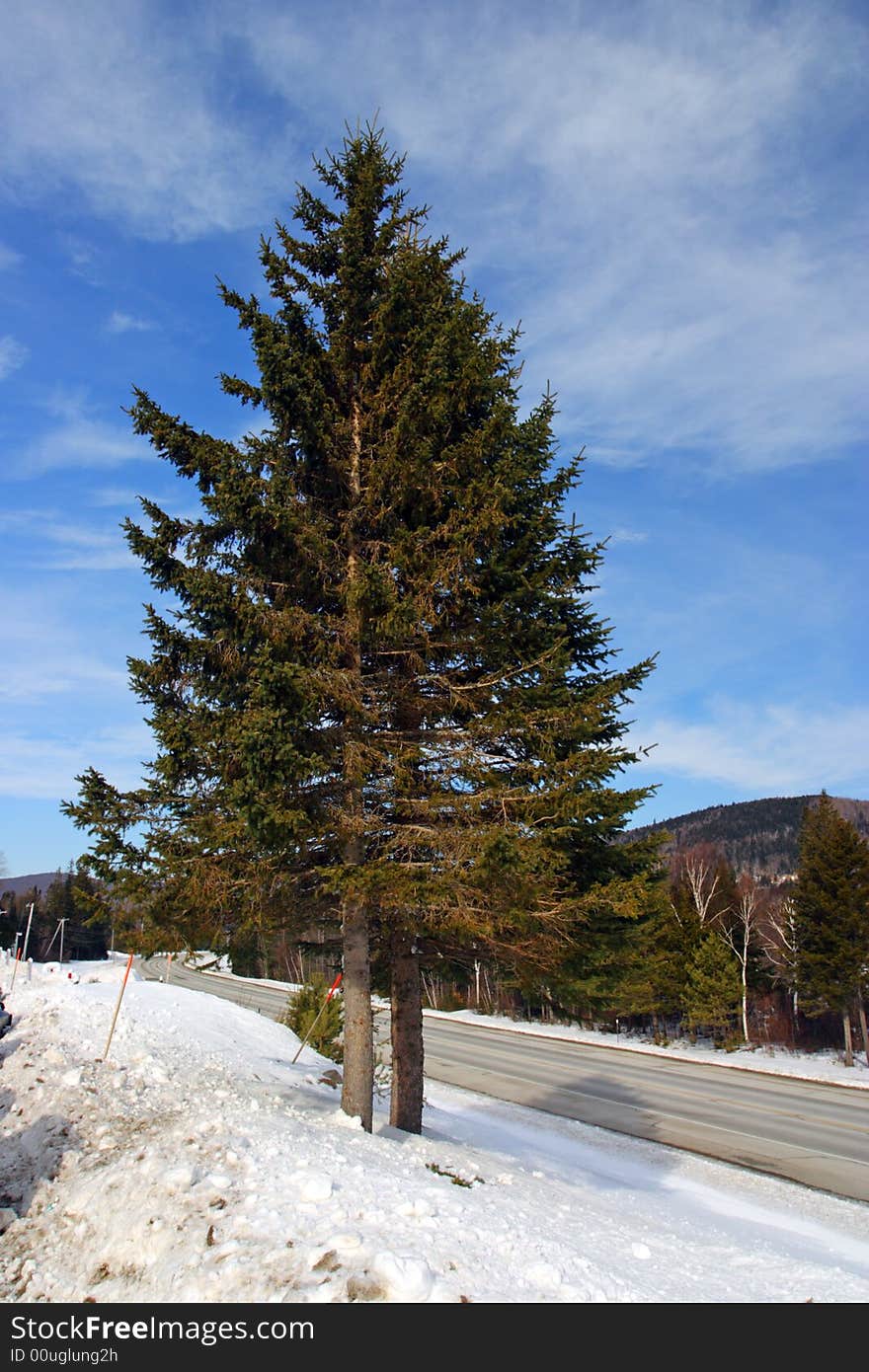 Winter at Bretton Woods, New Hampshire