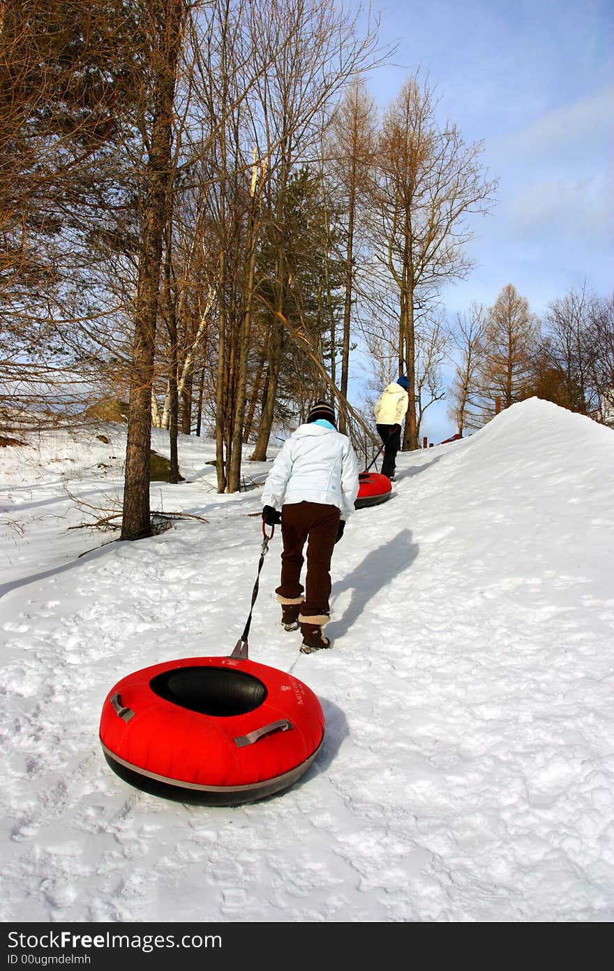 Winter at Bretton Woods, New Hampshire