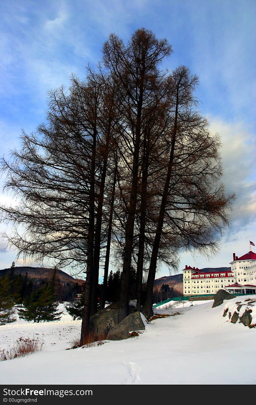 Winter at Bretton Woods, New Hampshire