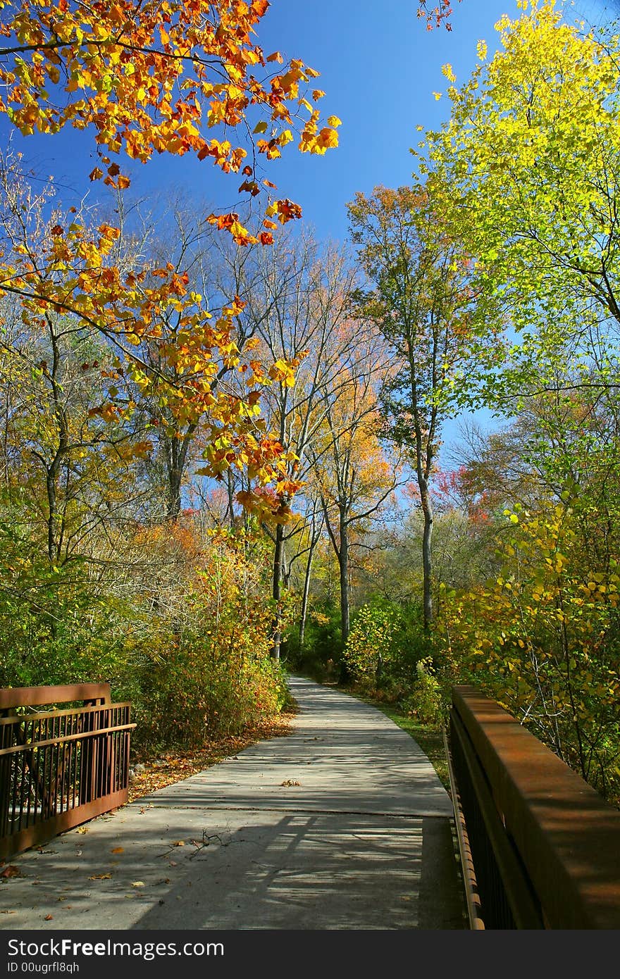 Beautiful Autumn Colors in a Park