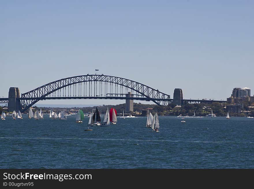 Sydney harbor and bridge with many sailboats