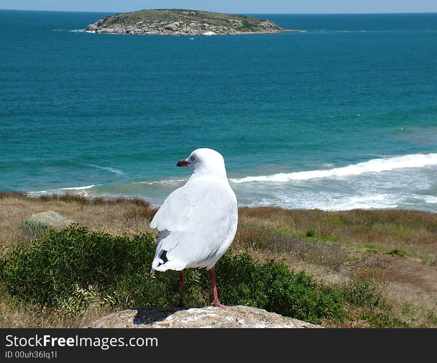 Ocean view victor harbor south australia. Ocean view victor harbor south australia