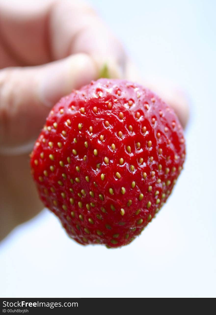 Red juicy strawberry with out of focus hand