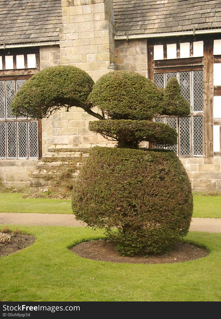 Topiary Squirrel