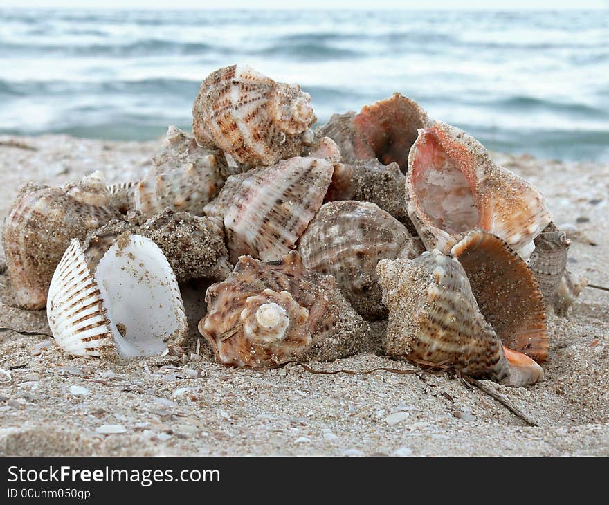 Pyramid from empty cockleshells on seacoast. Pyramid from empty cockleshells on seacoast