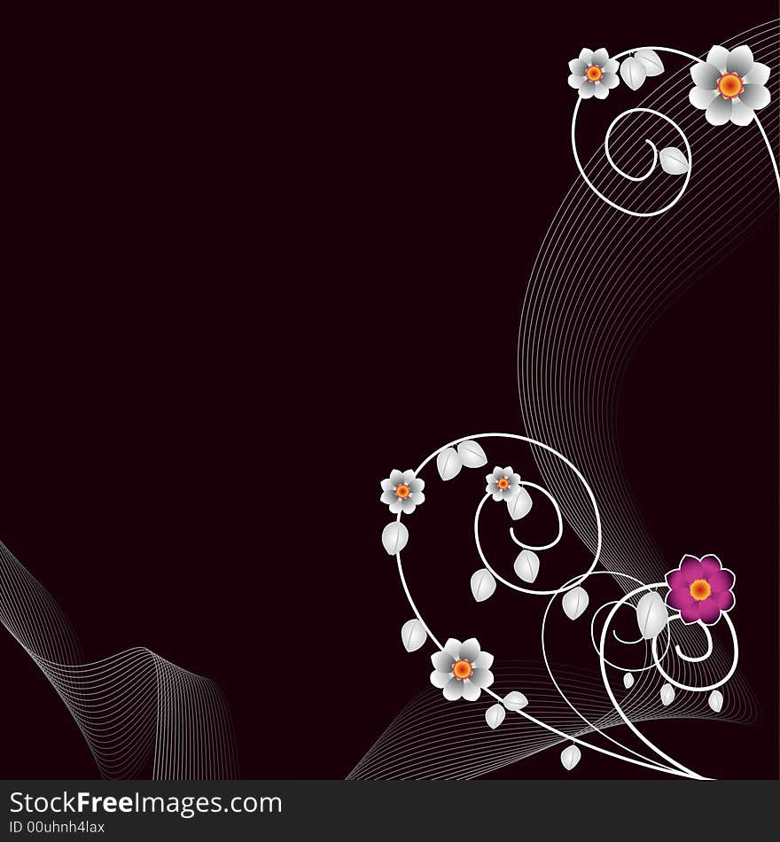 Vector floral elements for design, black background. Vector floral elements for design, black background