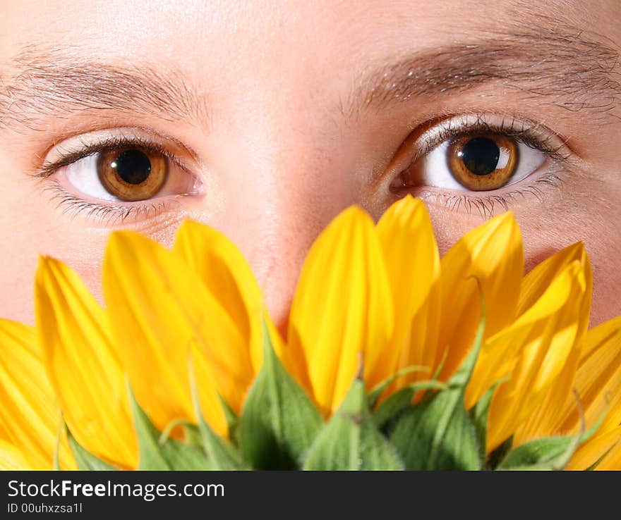 Hazel eyes peeping over the petals of a sunflower. Hazel eyes peeping over the petals of a sunflower